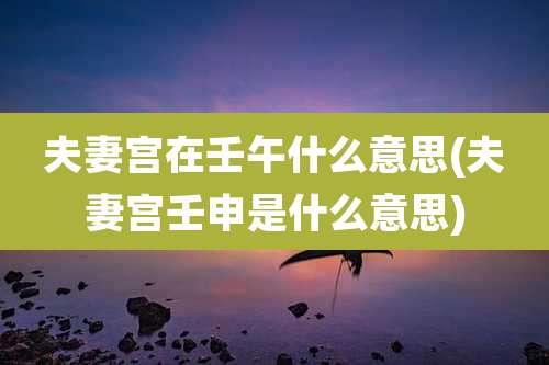 夫妻宫在壬午什么意思(夫妻宫壬申是什么意思)