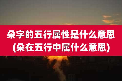 朵字的五行属性是什么意思(朵在五行中属什么意思)