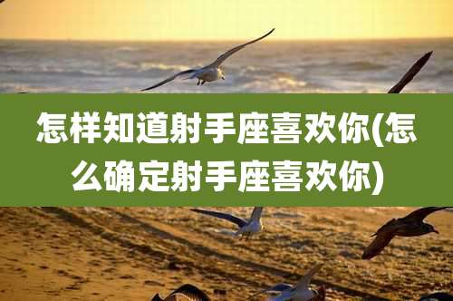 怎样知道射手座喜欢你(怎么确定射手座喜欢你)