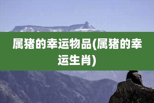 属猪的幸运物品(属猪的幸运生肖)