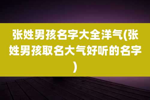 张姓男孩名字大全洋气(张姓男孩取名大气好听的名字)