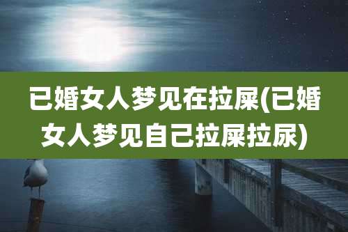 已婚女人梦见在拉屎(已婚女人梦见自己拉屎拉尿)
