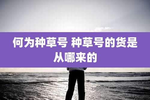 何为种草号 种草号的货是从哪来的