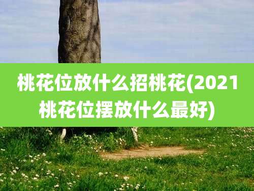 桃花位放什么招桃花(2021桃花位摆放什么最好)