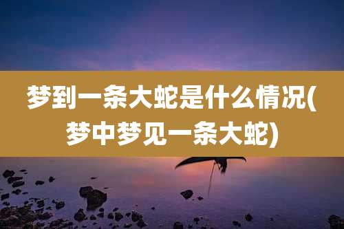 梦到一条大蛇是什么情况(梦中梦见一条大蛇)