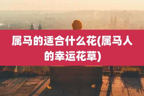 属马的适合什么花(属马人的幸运花草)