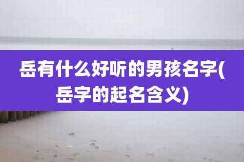 岳有什么好听的男孩名字(岳字的起名含义)