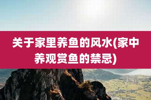 关于家里养鱼的风水(家中养观赏鱼的禁忌)