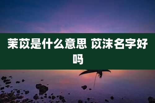 茉苡是什么意思 苡沫名字好吗
