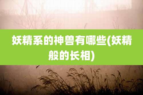 妖精系的神兽有哪些(妖精般的长相)