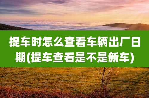 提车时怎么查看车辆出厂日期(提车查看是不是新车)