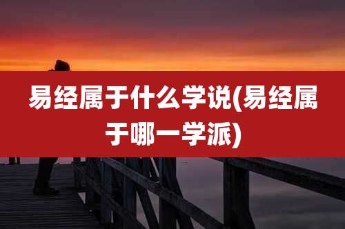 易经属于什么学说(易经属于哪一学派)