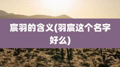 宸羽的含义(羽宸这个名字好么)