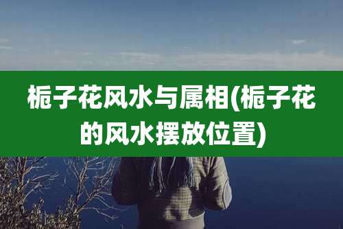 栀子花风水与属相(栀子花的风水摆放位置)