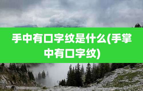 手中有口字纹是什么(手掌中有口字纹)