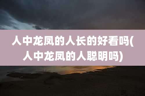 人中龙凤的人长的好看吗(人中龙凤的人聪明吗)