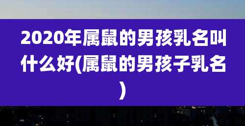 2020年属鼠的男孩乳名叫什么好(属鼠的男孩子乳名)