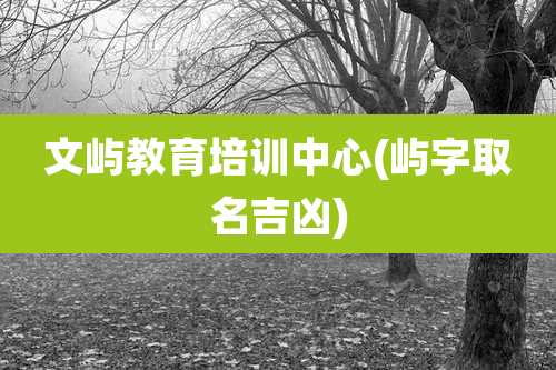 文屿教育培训中心(屿字取名吉凶)