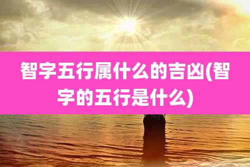 智字五行属什么的吉凶(智字的五行是什么)