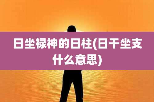 日坐禄神的日柱(日干坐支什么意思)