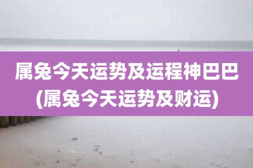 属兔今天运势及运程神巴巴(属兔今天运势及财运)