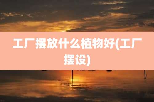 工厂摆放什么植物好(工厂摆设)
