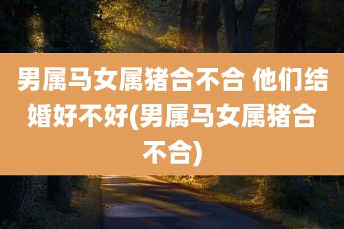 男属马女属猪合不合 他们结婚好不好(男属马女属猪合不合)