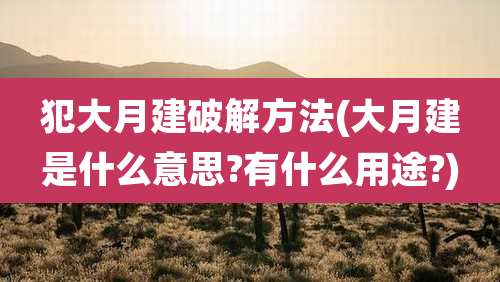 犯大月建破解方法(大月建是什么意思?有什么用途?)