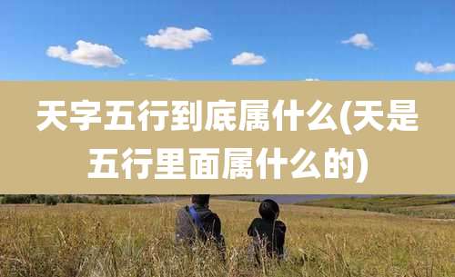天字五行到底属什么(天是五行里面属什么的)