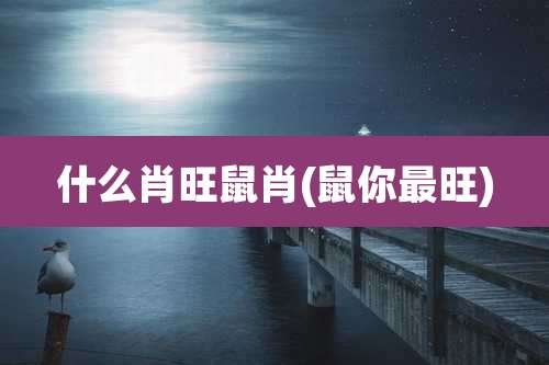 什么肖旺鼠肖(鼠你最旺)