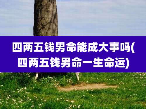 四两五钱男命能成大事吗(四两五钱男命一生命运)