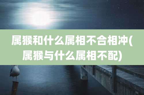 属猴和什么属相不合相冲(属猴与什么属相不配)