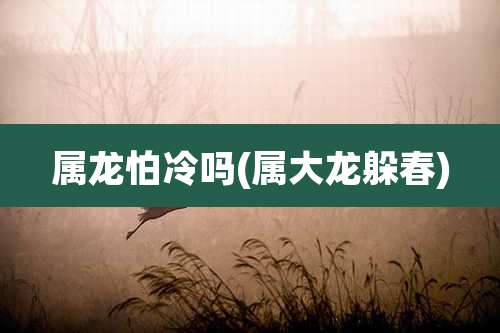 属龙怕冷吗(属大龙躲春)