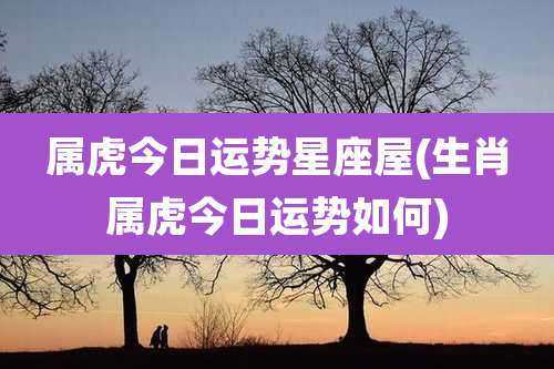 属虎今日运势星座屋(生肖属虎今日运势如何)