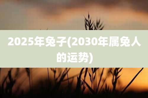 2025年兔子(2030年属兔人的运势)
