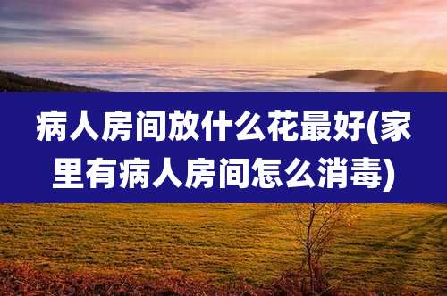 病人房间放什么花最好(家里有病人房间怎么消毒)