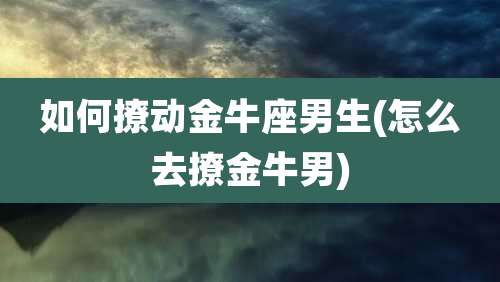 如何撩动金牛座男生(怎么去撩金牛男)