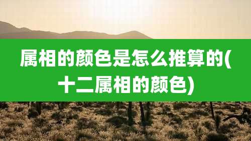 属相的颜色是怎么推算的(十二属相的颜色)