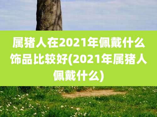 属猪人在2021年佩戴什么饰品比较好(2021年属猪人佩戴什么)