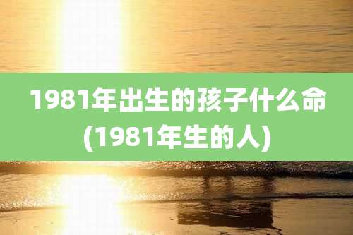 1981年出生的孩子什么命(1981年生的人)