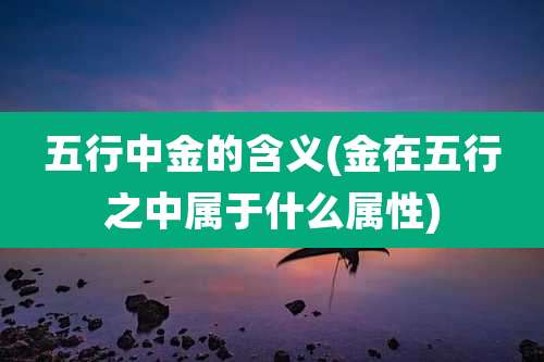 五行中金的含义(金在五行之中属于什么属性)