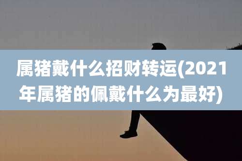 属猪戴什么招财转运(2021年属猪的佩戴什么为最好)