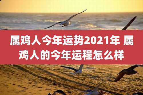 属鸡人今年运势2021年 属鸡人的今年运程怎么样