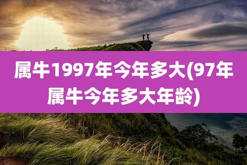 属牛1997年今年多大(97年属牛今年多大年龄)