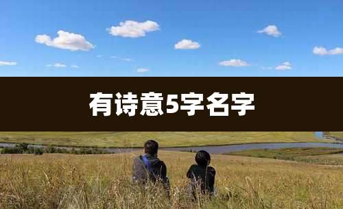 有诗意5字名字