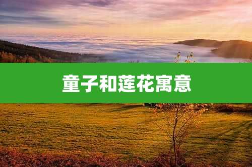 童子和莲花寓意