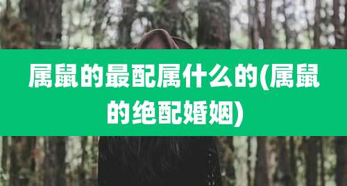 属鼠的最配属什么的(属鼠的绝配婚姻)