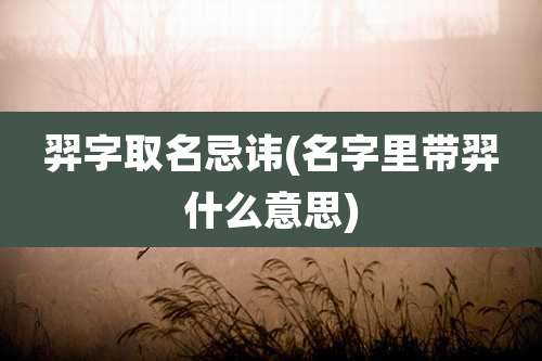 羿字取名忌讳(名字里带羿什么意思)