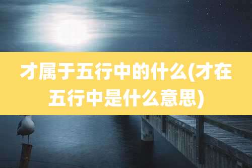 才属于五行中的什么(才在五行中是什么意思)