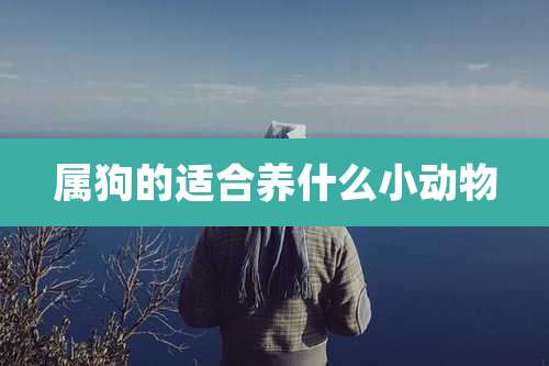 属狗的适合养什么小动物